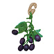 Happy Pet Grape Nibbler Happy Pet Grape Nibbler