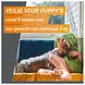 Frontpro Frontpro Dog 4-10 Kg M Frontpro Frontpro Dog 4-10 Kg M