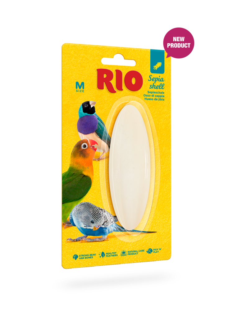 RIO RIO Sepia schelp maat M RIO RIO Sepia schelp maat M