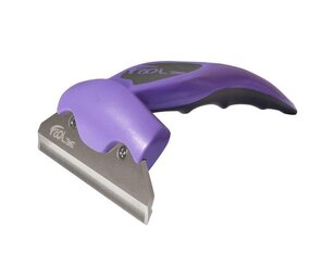 FoOlee Féché d'évolution l brillant (évolution du tromperie l brillant violet)