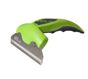 FoOlee Févrage évolution l brillant (évolution du tromperie l brillant vert)