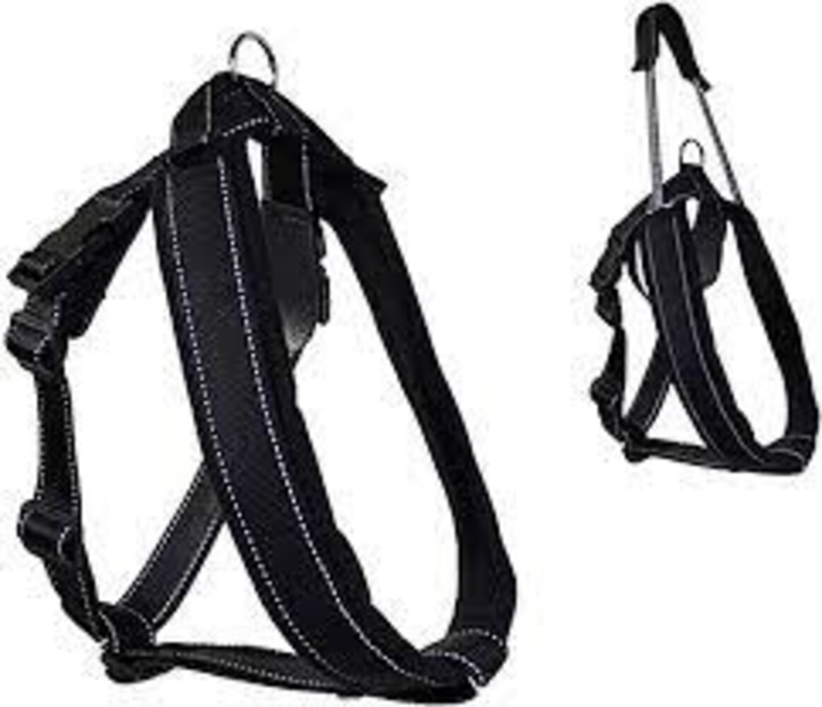 Patento Pet Jockey Harness intégré Long Leiband Black (intégration de la ceinture sportive Long Leiband Zwar Patento Pet Jockey Harness intégré Long Leiband Black (intégration de la ceinture sportive Long Leiband Zwar