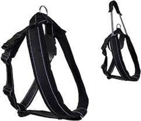 Patento Pet Jockey Harness intégré Long Leiband Black (intégration de la ceinture sportive Long Leiband Zwar Patento Pet Jockey Harness intégré Long Leiband Black (intégration de la ceinture sportive Long Leiband Zwar