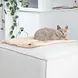 Hoopo Hoopo Tri Kattendeken (Tri wit) Hoopo Hoopo Tri Kattendeken (Tri wit)