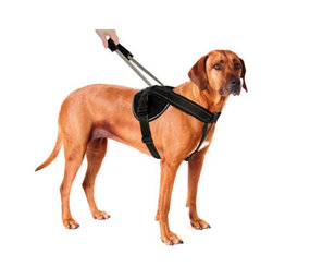 Patento Pet Jockey Arnese Integra una gronera de correa larga (Jockey Arnese Integre Long Leash Rood XXL)