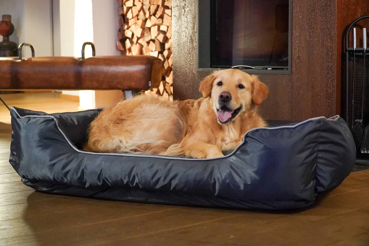 ThermoSwitch Paros Lux Memory Foam (Paros Lux XL 120 x 75 x 28 cm) ThermoSwitch Paros Lux Memory Foam (Paros Lux XL 120 x 75 x 28 cm)