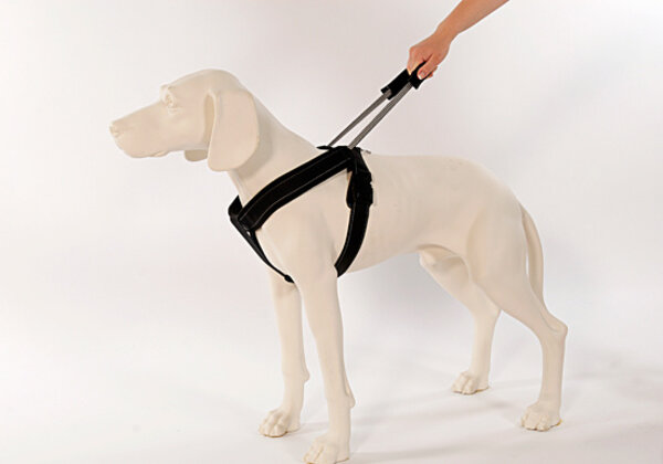 Patento Pet Jockey Arnese Integra una gronera de correa larga (Jockey Arnese Integre Long Leash Rood XXL) Patento Pet Jockey Arnese Integra una gronera de correa larga (Jockey Arnese Integre Long Leash Rood XXL)