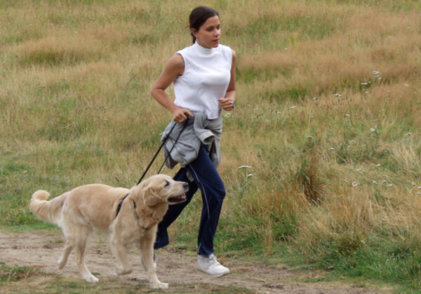 Patento Pet Le harnais de jockey intégré Long Lash Rood (le harnais de jockey intégré Long Leash Rood xxl) Patento Pet Le harnais de jockey intégré Long Lash Rood (le harnais de jockey intégré Long Leash Rood xxl)
