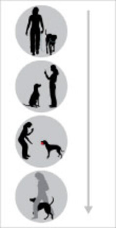 Patento Pet Jockey Harness integrate long leash rood (Jockey Harness integrate long leash rood XXL)