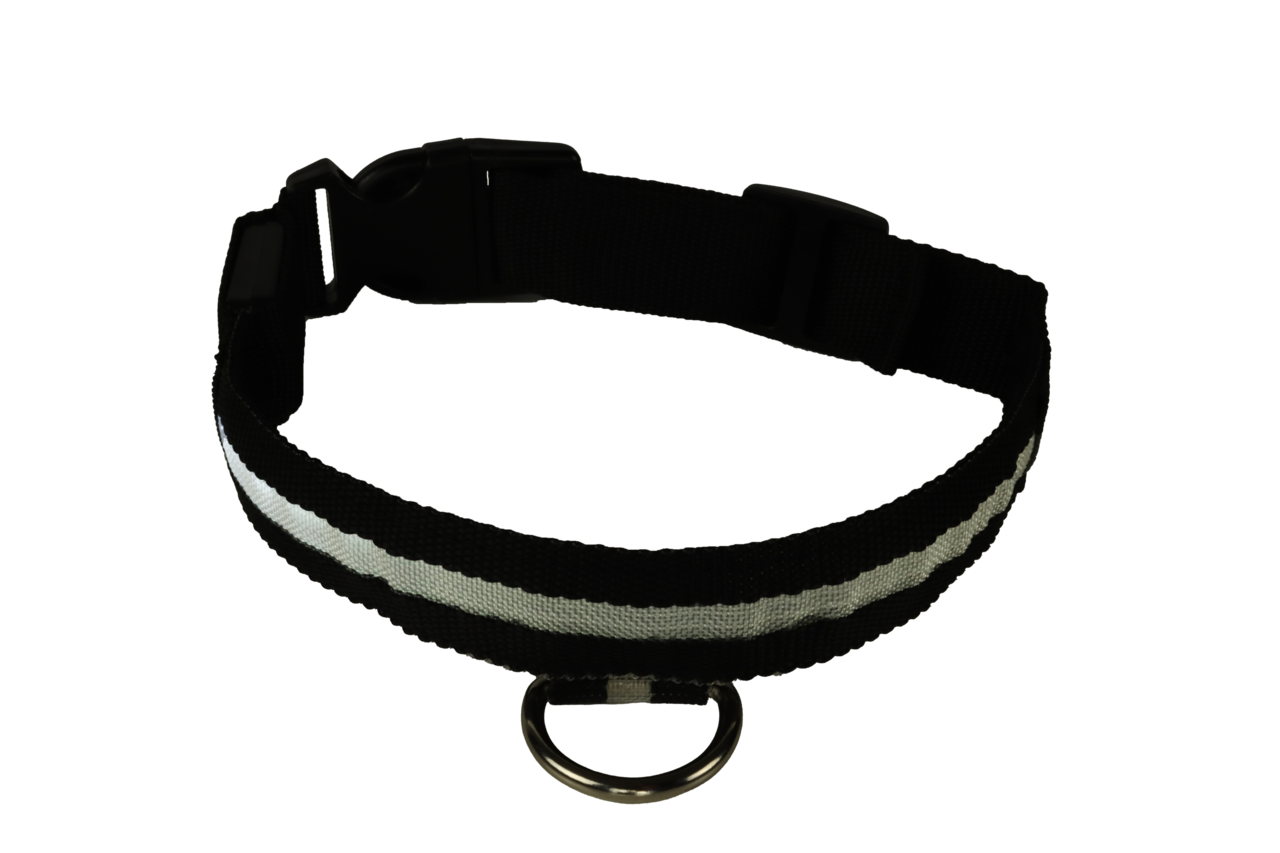 mypetworld Collier lumineux noir XL Batterie rechargeable mypetworld Collier lumineux noir XL Batterie rechargeable