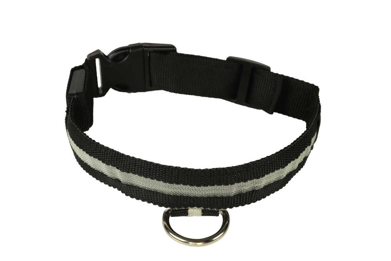 mypetworld Collier lumineux noir M Batterie rechargeable mypetworld Collier lumineux noir M Batterie rechargeable