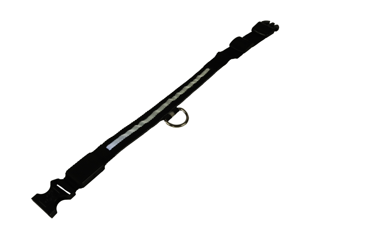 mypetworld Collier lumineux noir M Batterie mypetworld Collier lumineux noir M Batterie