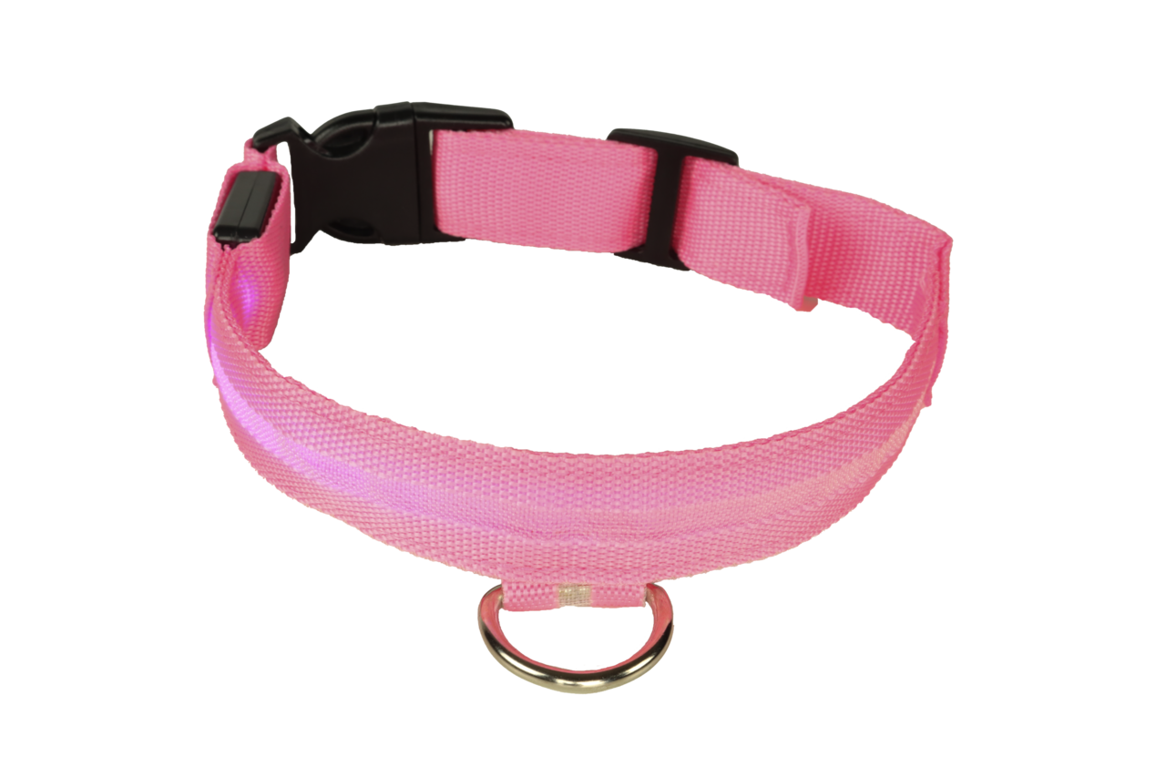 mypetworld Collier lumineux rose L Batterie rechargeable mypetworld Collier lumineux rose L Batterie rechargeable