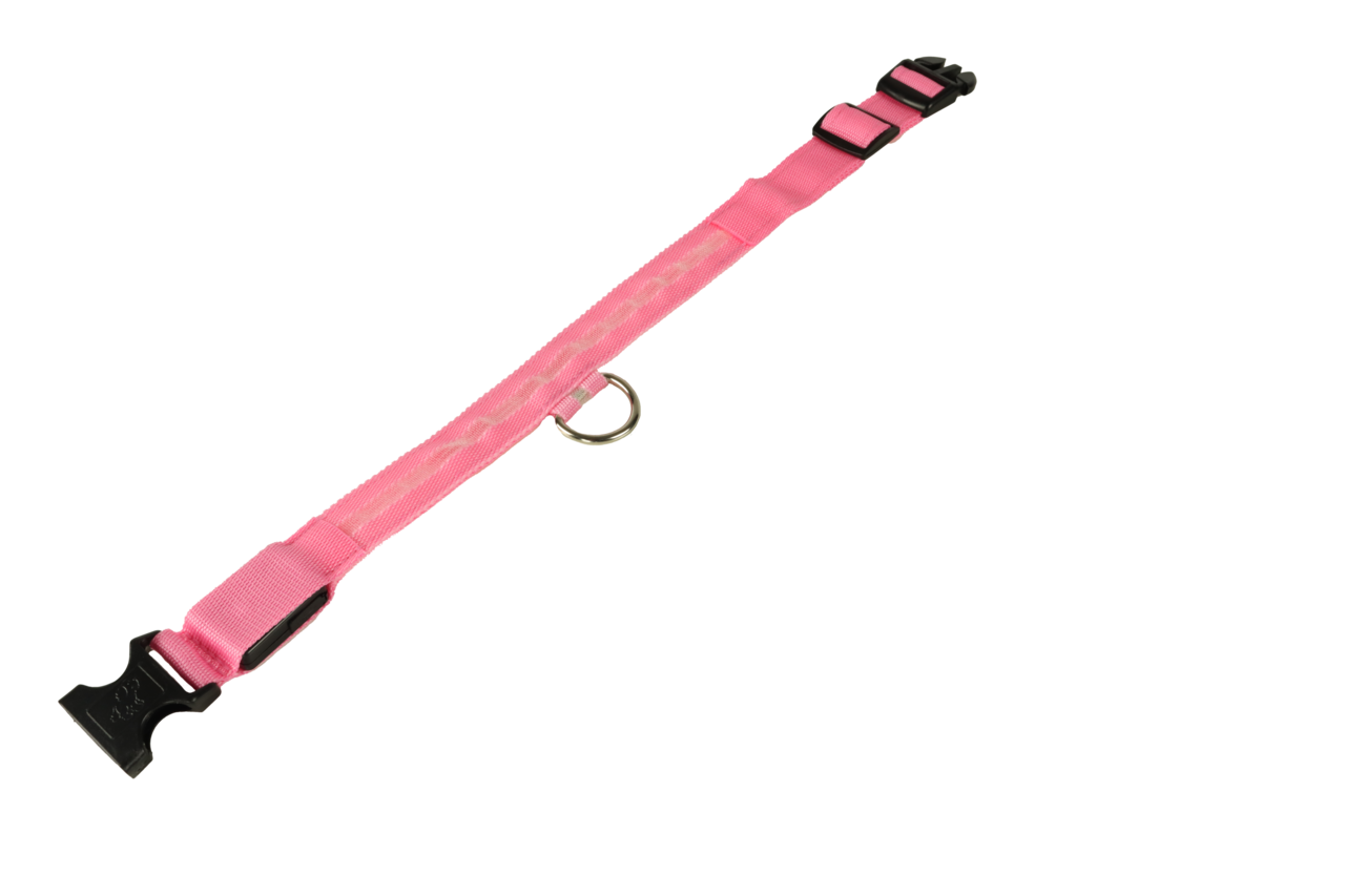 mypetworld Collier lumineux rose L Batterie rechargeable mypetworld Collier lumineux rose L Batterie rechargeable