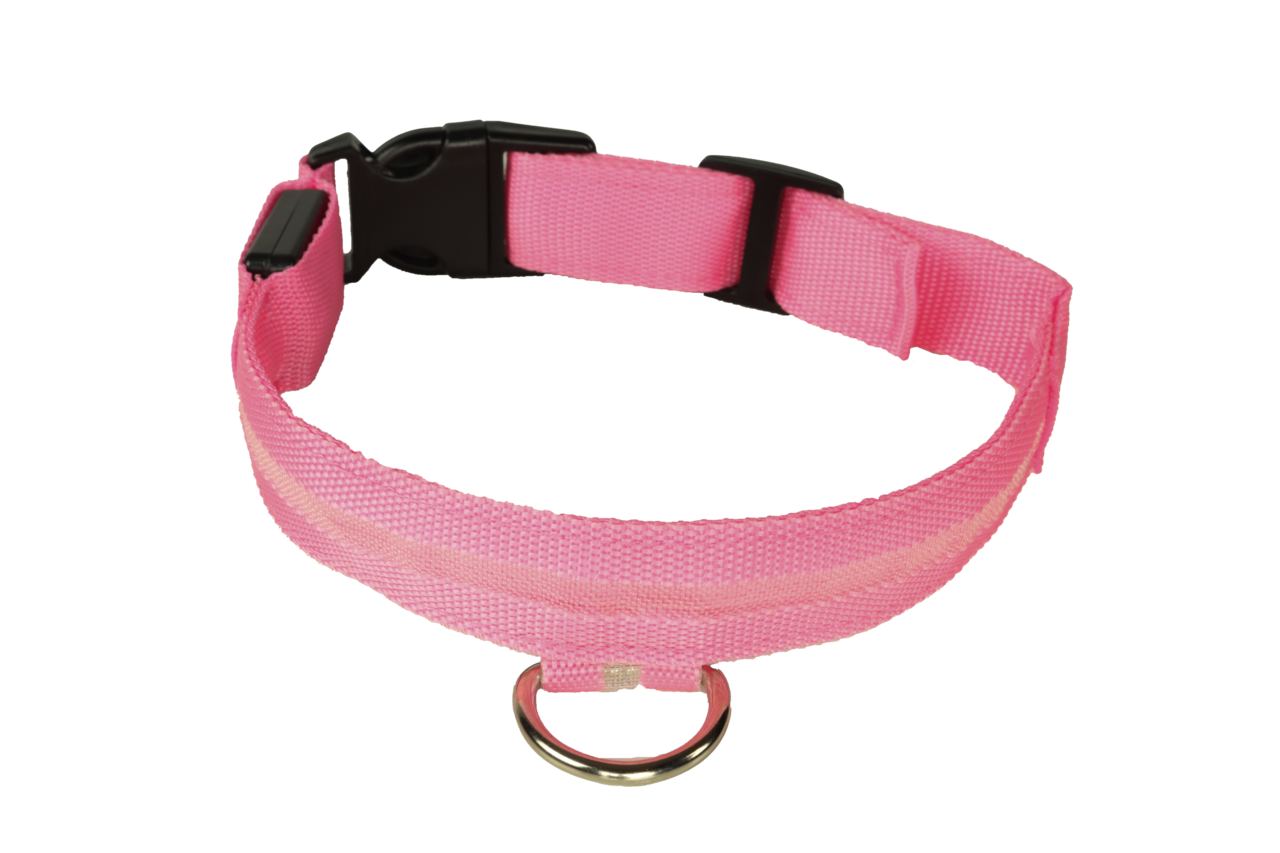 mypetworld Leuchthalsband rosa L Wiederaufladbare Batterie mypetworld Leuchthalsband rosa L Wiederaufladbare Batterie