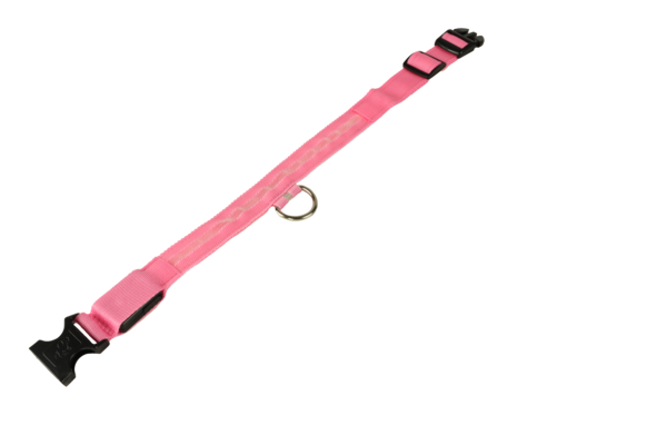 mypetworld Lichtgevende halsband roze M Batterij mypetworld Lichtgevende halsband roze M Batterij