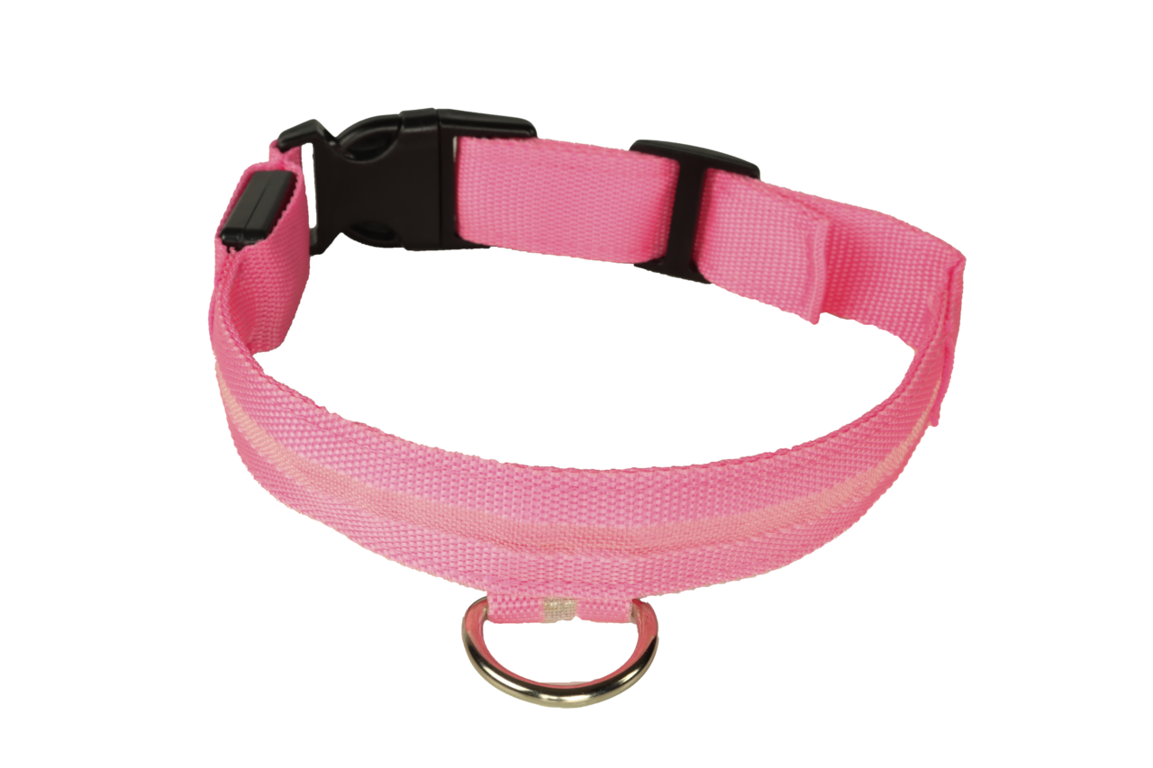 mypetworld Cuello luminoso rosa M Batería mypetworld Cuello luminoso rosa M Batería