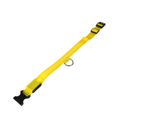 mypetworld Leuchthalsband gelb XL Wiederaufladbare Batterie mypetworld Leuchthalsband gelb XL Wiederaufladbare Batterie
