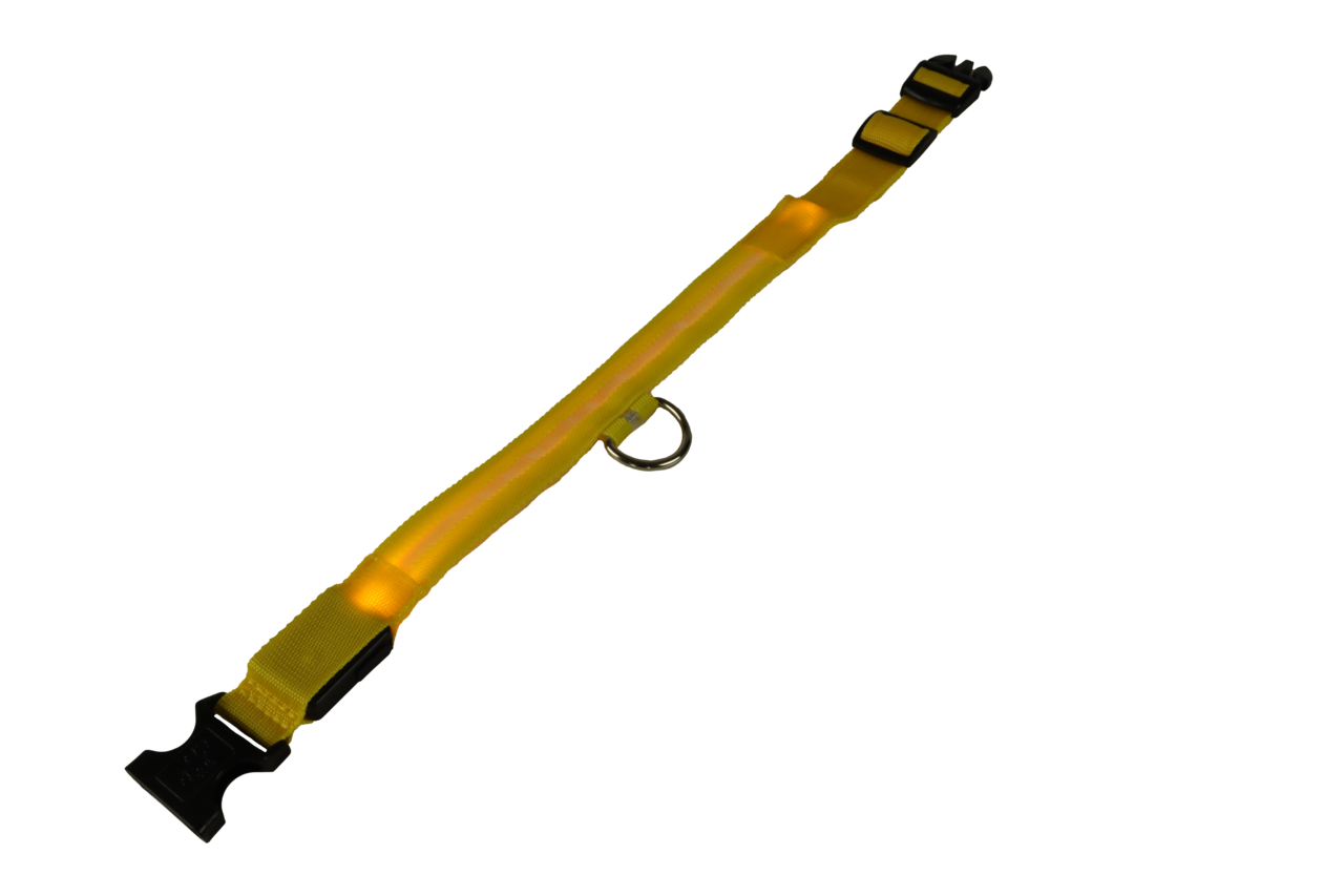 mypetworld Collier lumineux jaune XL Batterie rechargeable mypetworld Collier lumineux jaune XL Batterie rechargeable