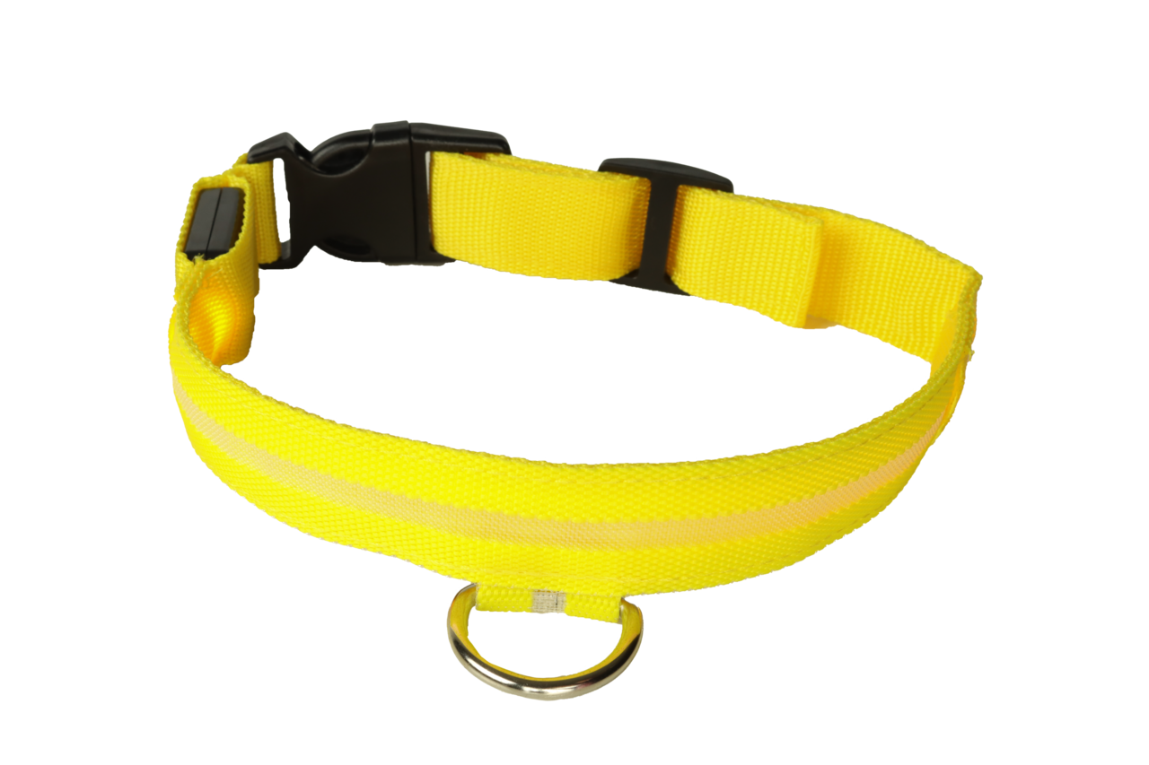 mypetworld Collare luminoso giallo L Batteria ricaricabile mypetworld Collare luminoso giallo L Batteria ricaricabile