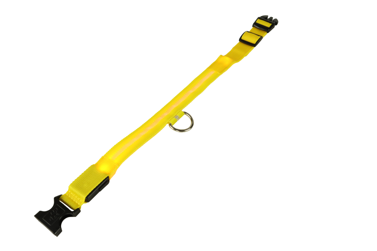 mypetworld Cuello luminoso amarillo S Batería recargable mypetworld Cuello luminoso amarillo S Batería recargable