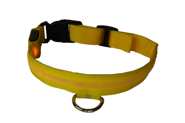mypetworld Colarinho luminoso amarelo Bateria XL mypetworld Colarinho luminoso amarelo Bateria XL