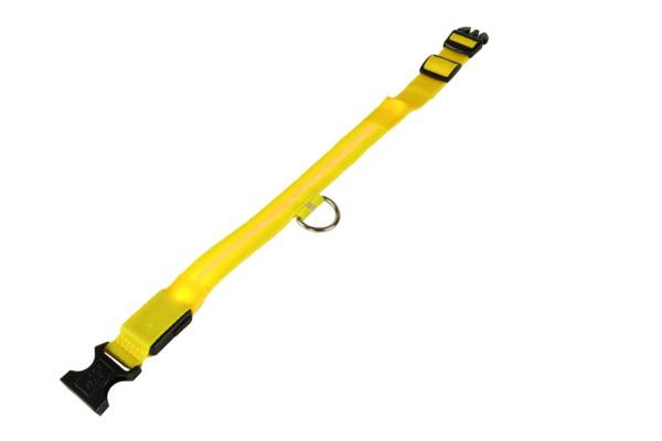 mypetworld Collare luminoso giallo L Batteria mypetworld Collare luminoso giallo L Batteria