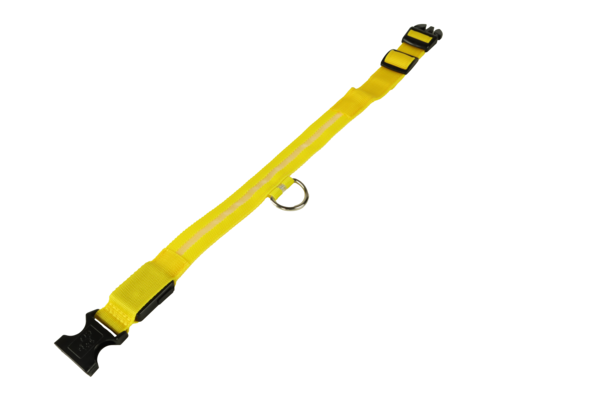 mypetworld Leuchthalsband gelb M Batterie mypetworld Leuchthalsband gelb M Batterie