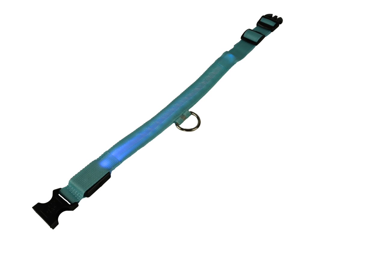 mypetworld Leuchthalsband blau L Wiederaufladbare Batterie mypetworld Leuchthalsband blau L Wiederaufladbare Batterie