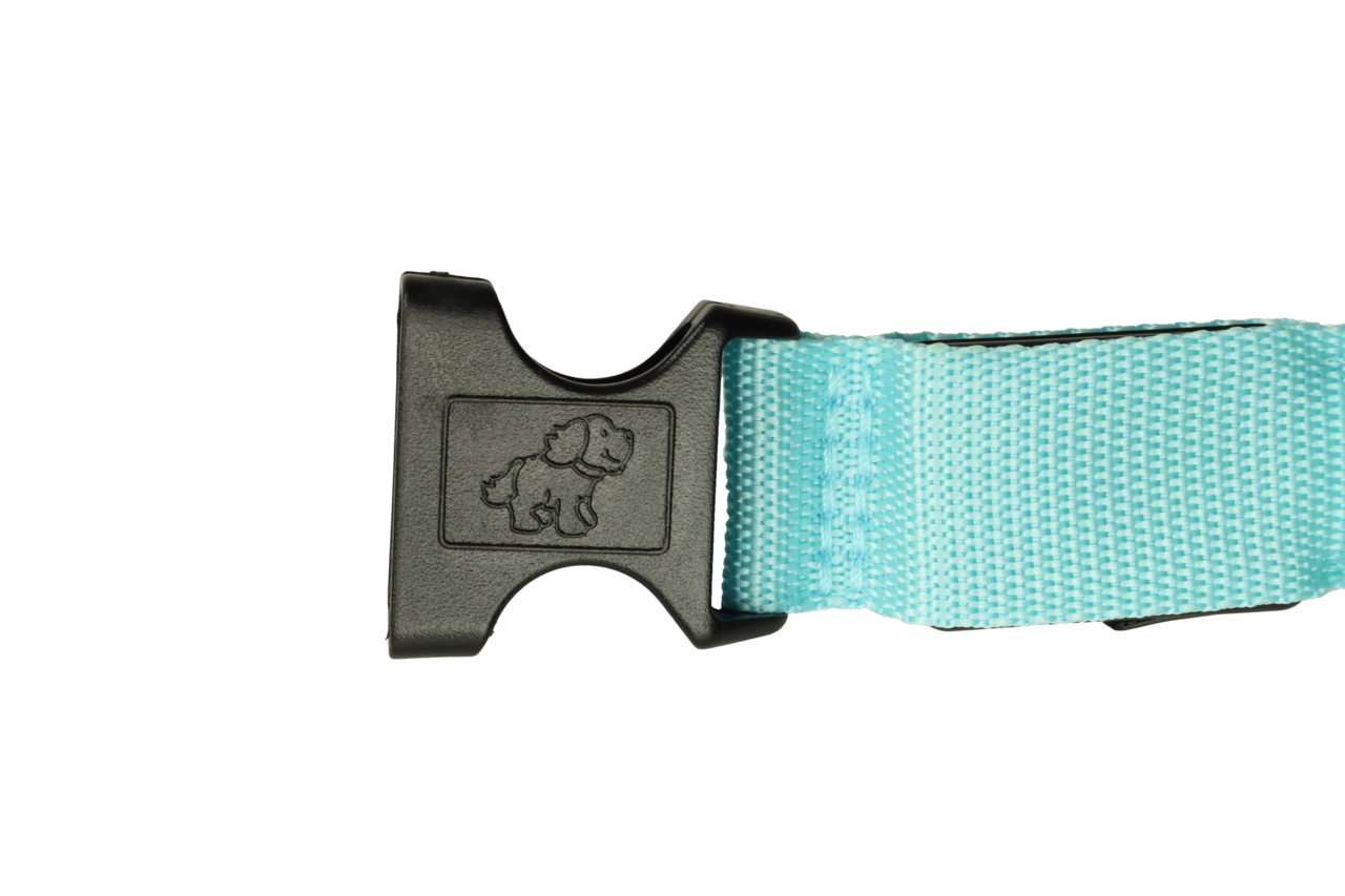 mypetworld Cuello luminoso azul L Batería recargable