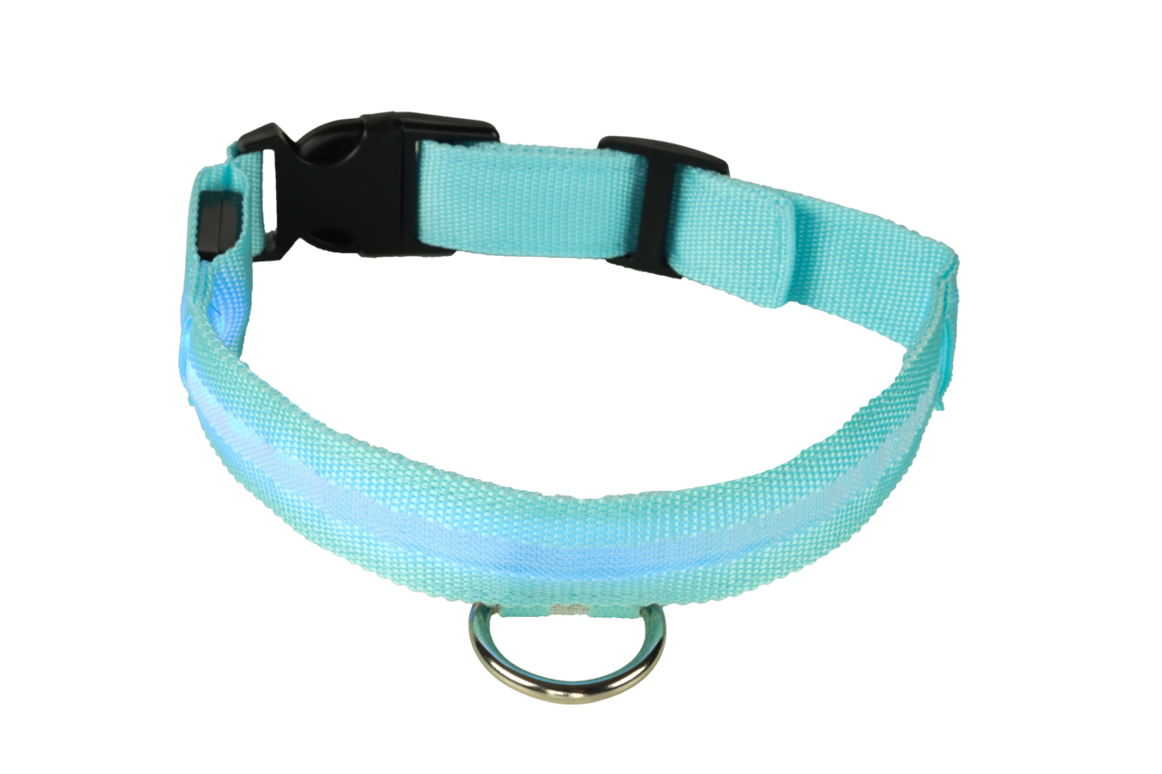 mypetworld Collier lumineux bleu M Batterie rechargeable mypetworld Collier lumineux bleu M Batterie rechargeable