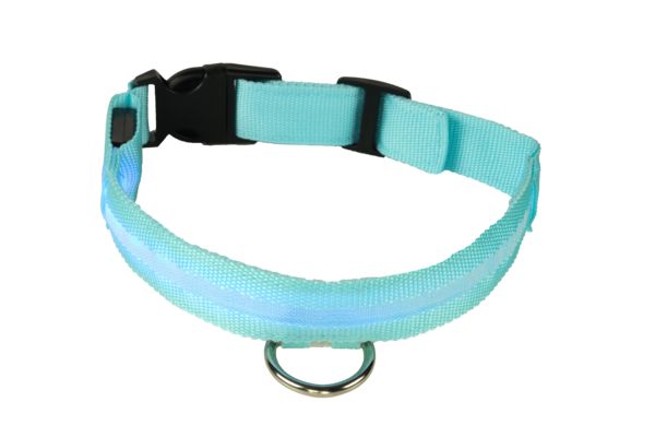 collier lumineux chien rechargeable