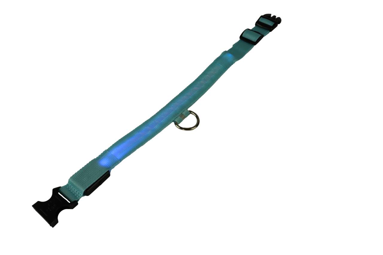 mypetworld Leuchthalsband blau S Wiederaufladbare Batterie