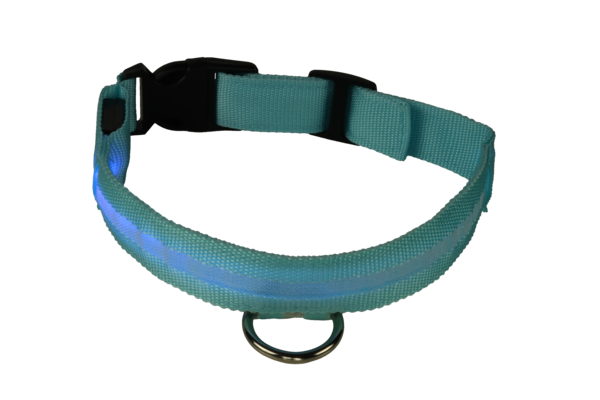 mypetworld Colarinho luminoso azul Bateria XL mypetworld Colarinho luminoso azul Bateria XL