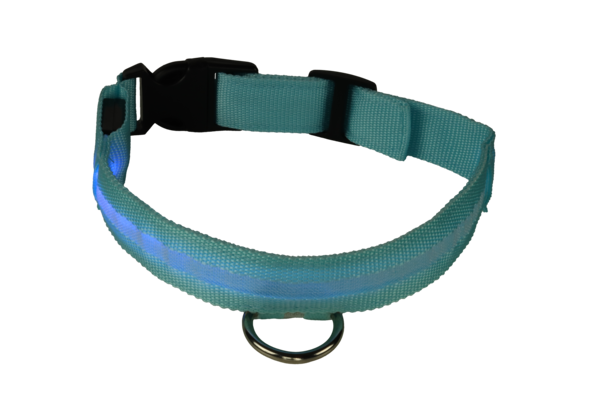mypetworld Collare luminoso blu  XL Batteria mypetworld Collare luminoso blu  XL Batteria