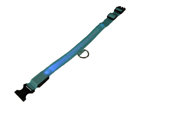 mypetworld Collare luminoso blu  L Batteria mypetworld Collare luminoso blu  L Batteria