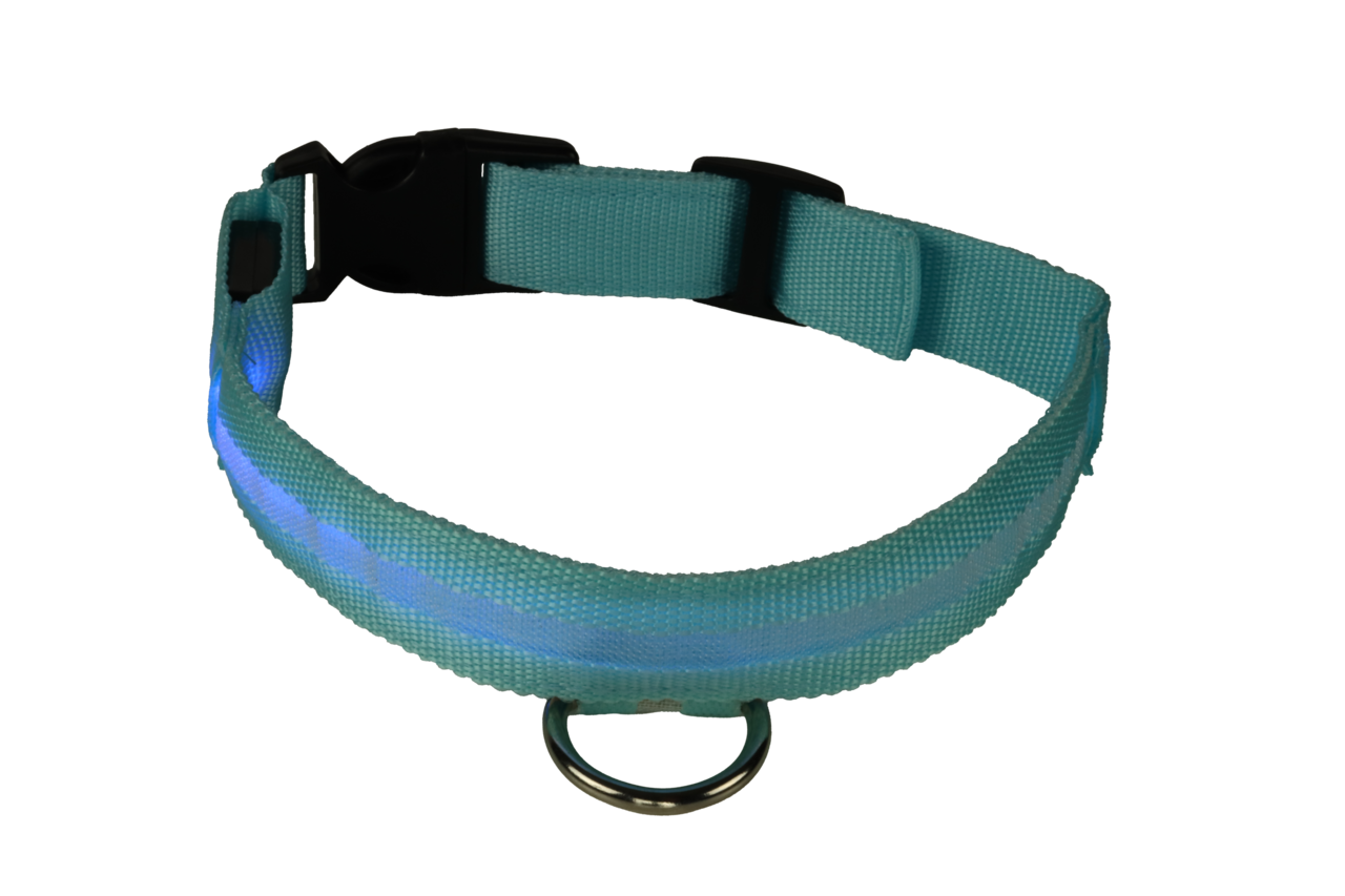 mypetworld Colarinho luminoso azul Bateria M
