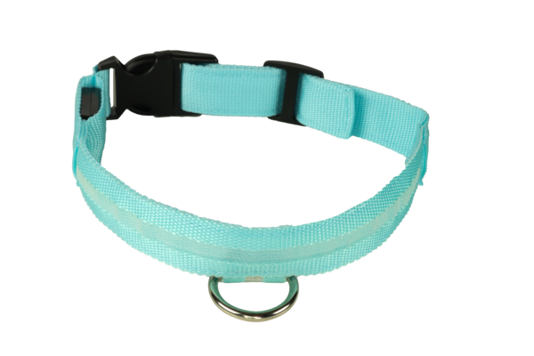 mypetworld Leuchthalsband blau S Batterie mypetworld Leuchthalsband blau S Batterie