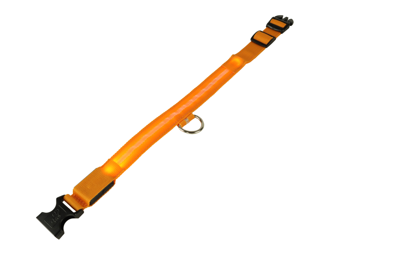 mypetworld Cuello luminoso naranja L Batería recargable mypetworld Cuello luminoso naranja L Batería recargable
