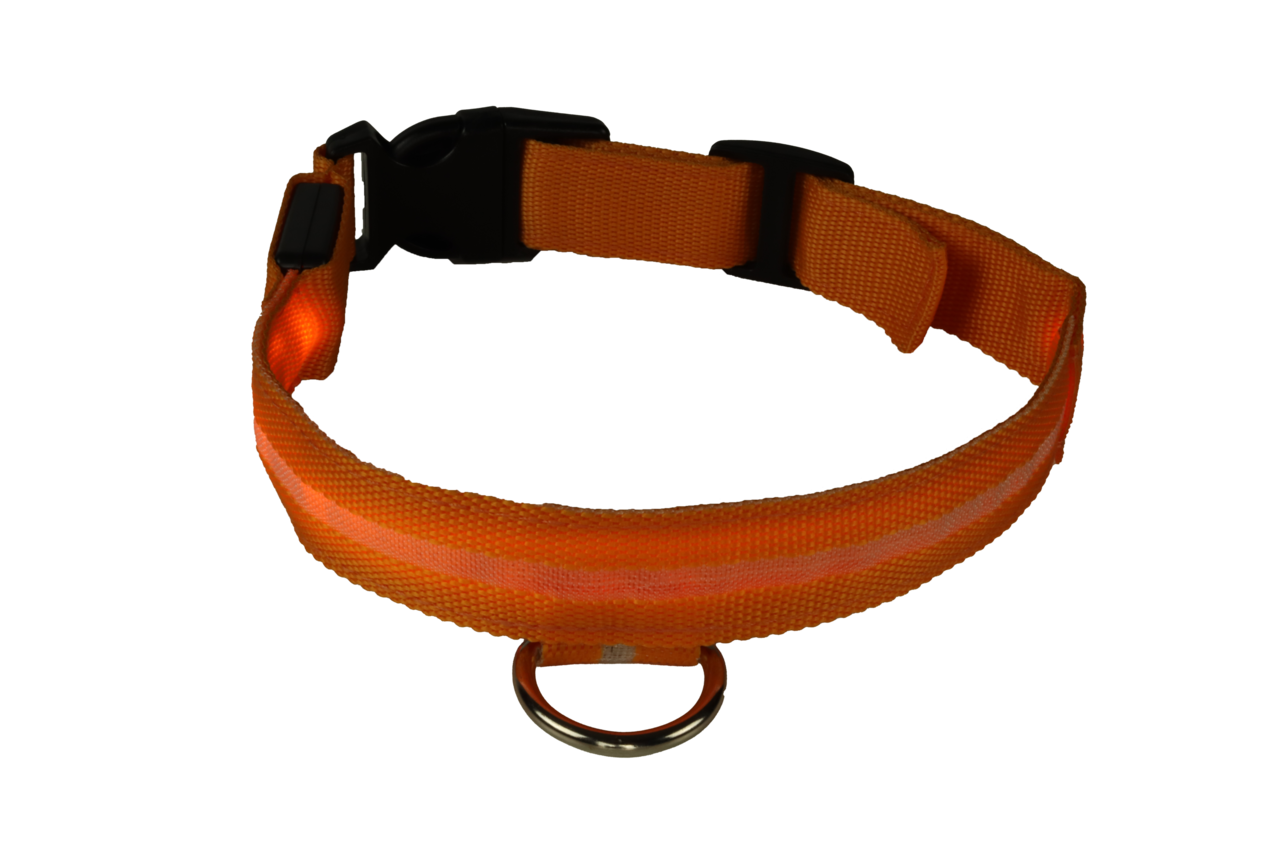 mypetworld Leuchthalsband orange M Wiederaufladbare Batterie