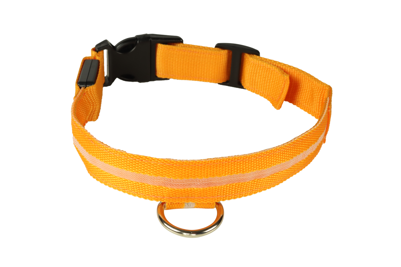 mypetworld Leuchthalsband orange M Wiederaufladbare Batterie