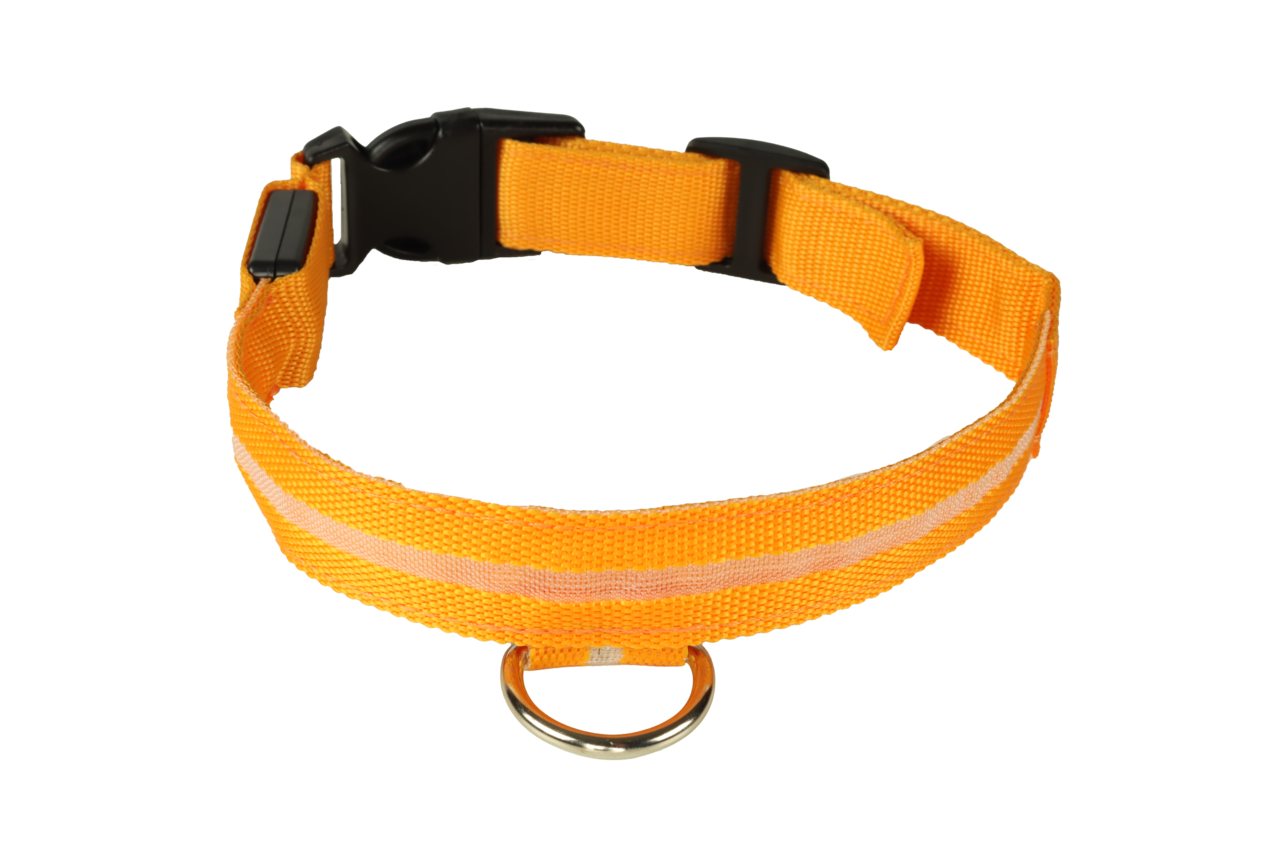 mypetworld Lichtgevende halsband oranje M Oplaadbare batterij mypetworld Lichtgevende halsband oranje M Oplaadbare batterij