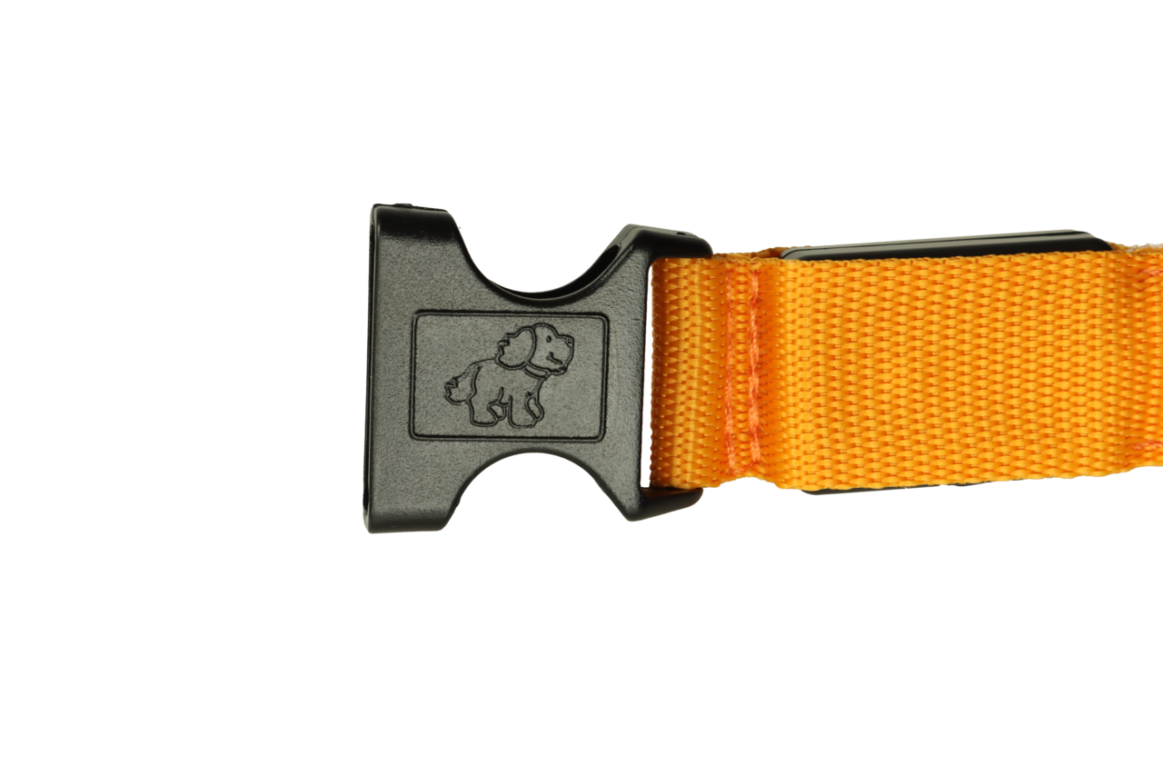 mypetworld Leuchthalsband orange M Wiederaufladbare Batterie