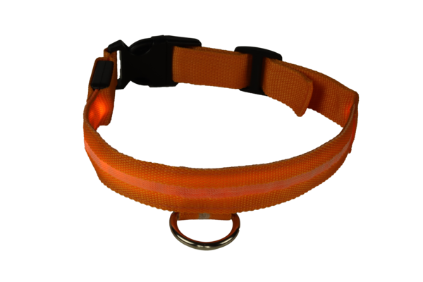 mypetworld Lichtgevende halsband oranje XL Batterij