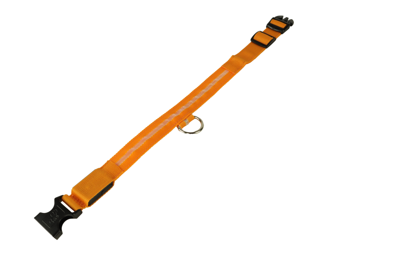 mypetworld Light up collar orange XL Battery