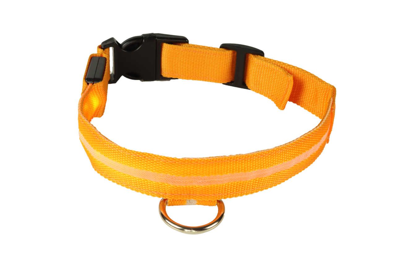 mypetworld Cuello luminoso naranja L  Batería