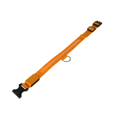 mypetworld Collier lumineux orange L Batterie
