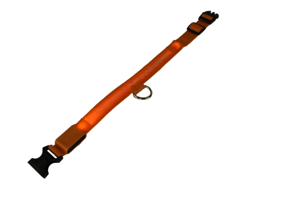mypetworld Cuello luminoso naranja M  Batería mypetworld Cuello luminoso naranja M  Batería
