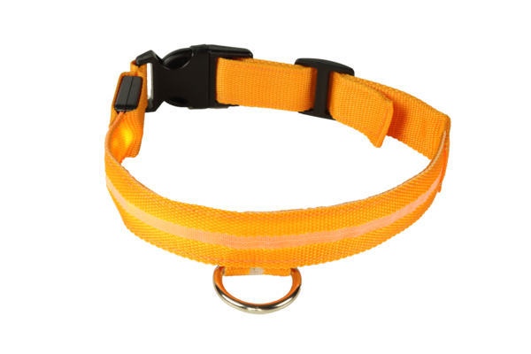 mypetworld Leuchthalsband orange M Batterie