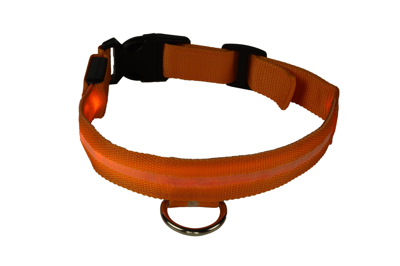 mypetworld Lichtgevende halsband oranje S Batterij mypetworld Lichtgevende halsband oranje S Batterij